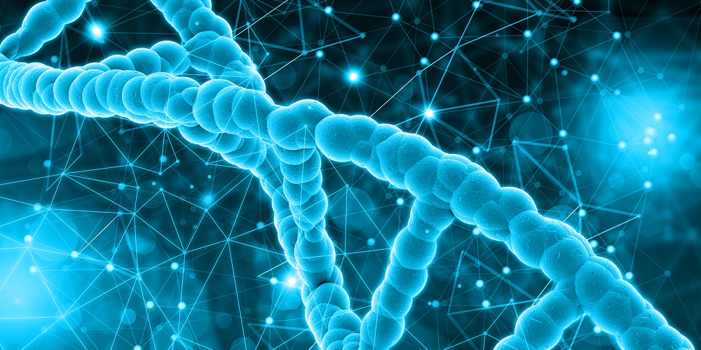 RNA Protein Folding