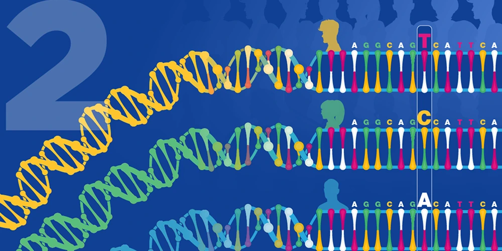 Colorful triple DNA double helices against a blue background with a large gray 2, suggesting genetics or a sequence theme