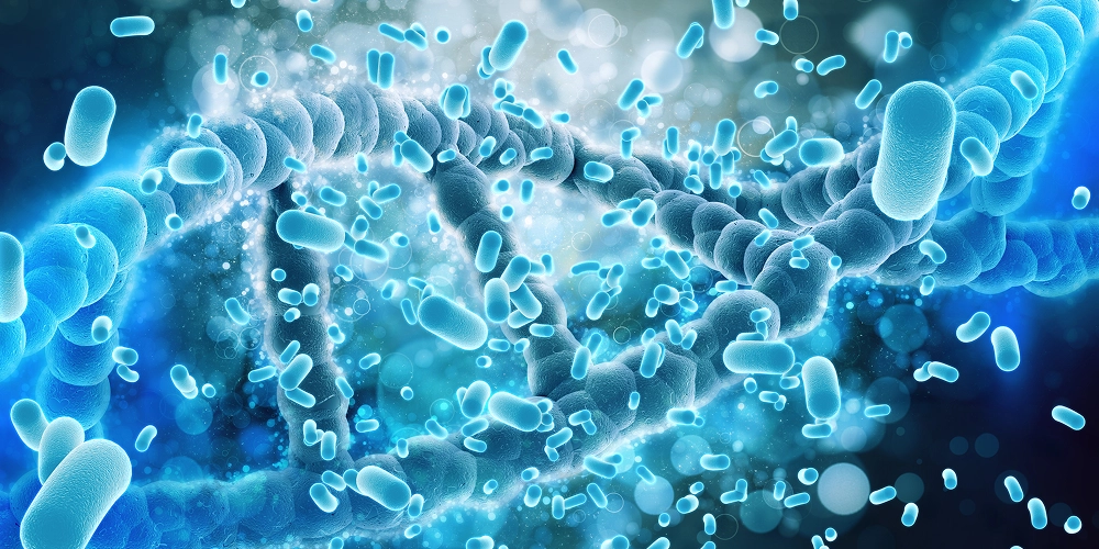 Early Days Banner