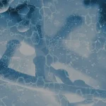 early-detail-feature