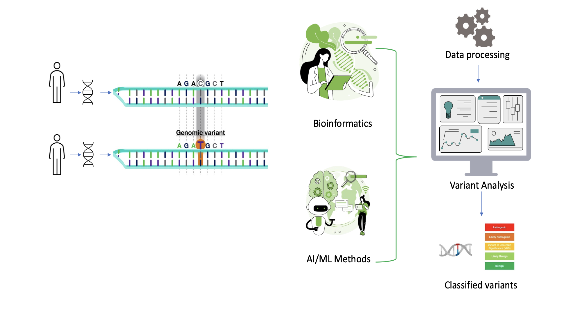 Variant-analysis | Zifo Variant-analysis
