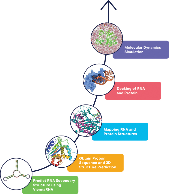 flowchart_img | Zifo flowchart_img