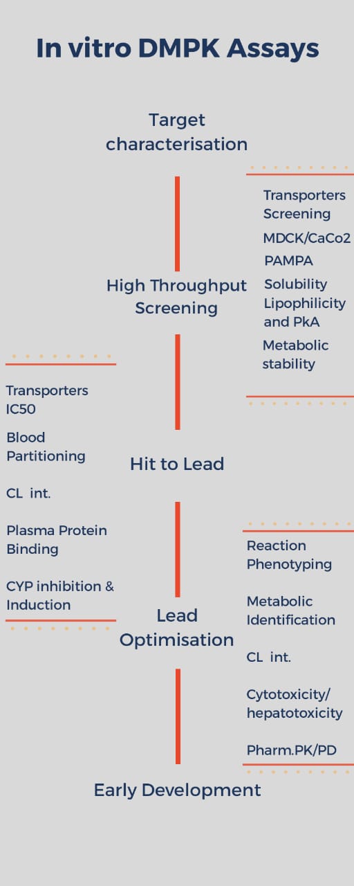In-vitro-DMPK-Assay | Zifo In-vitro-DMPK-Assay