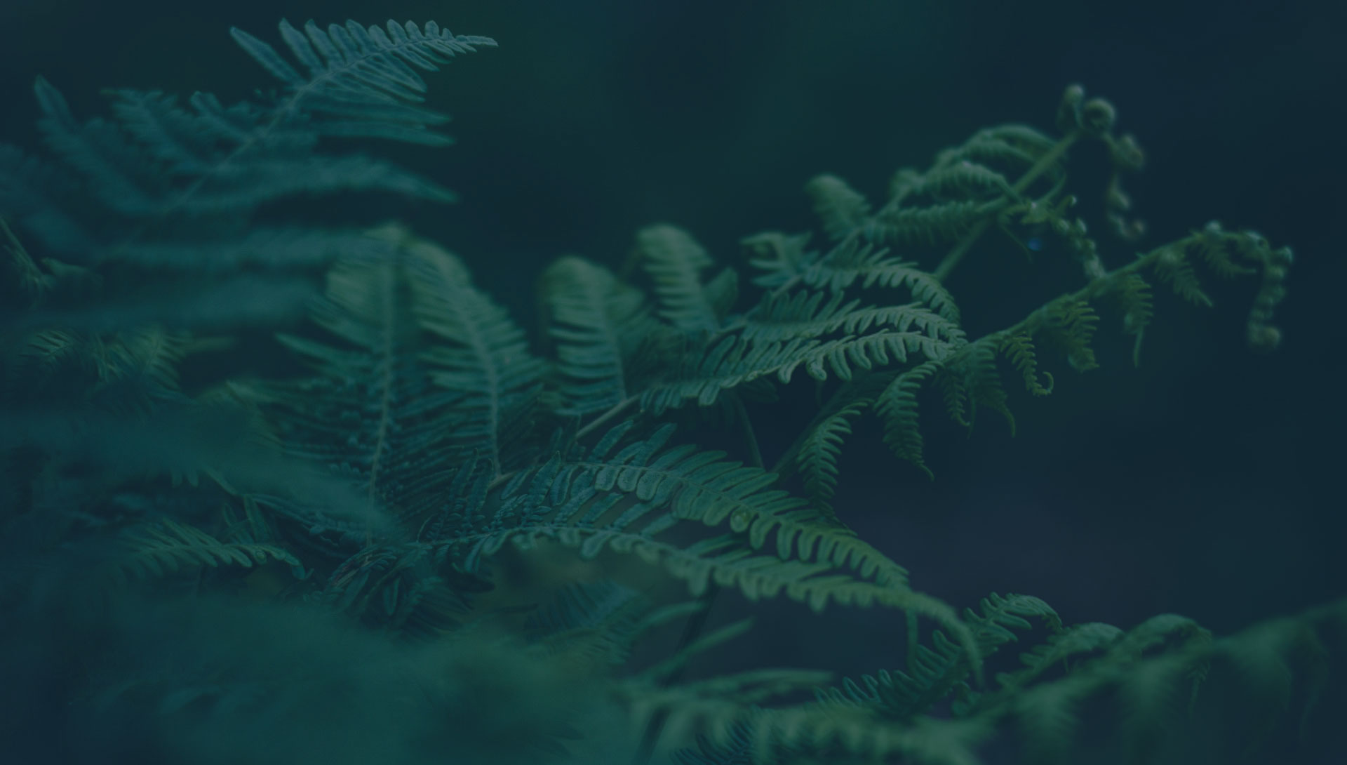 Gxp Saas Content Image